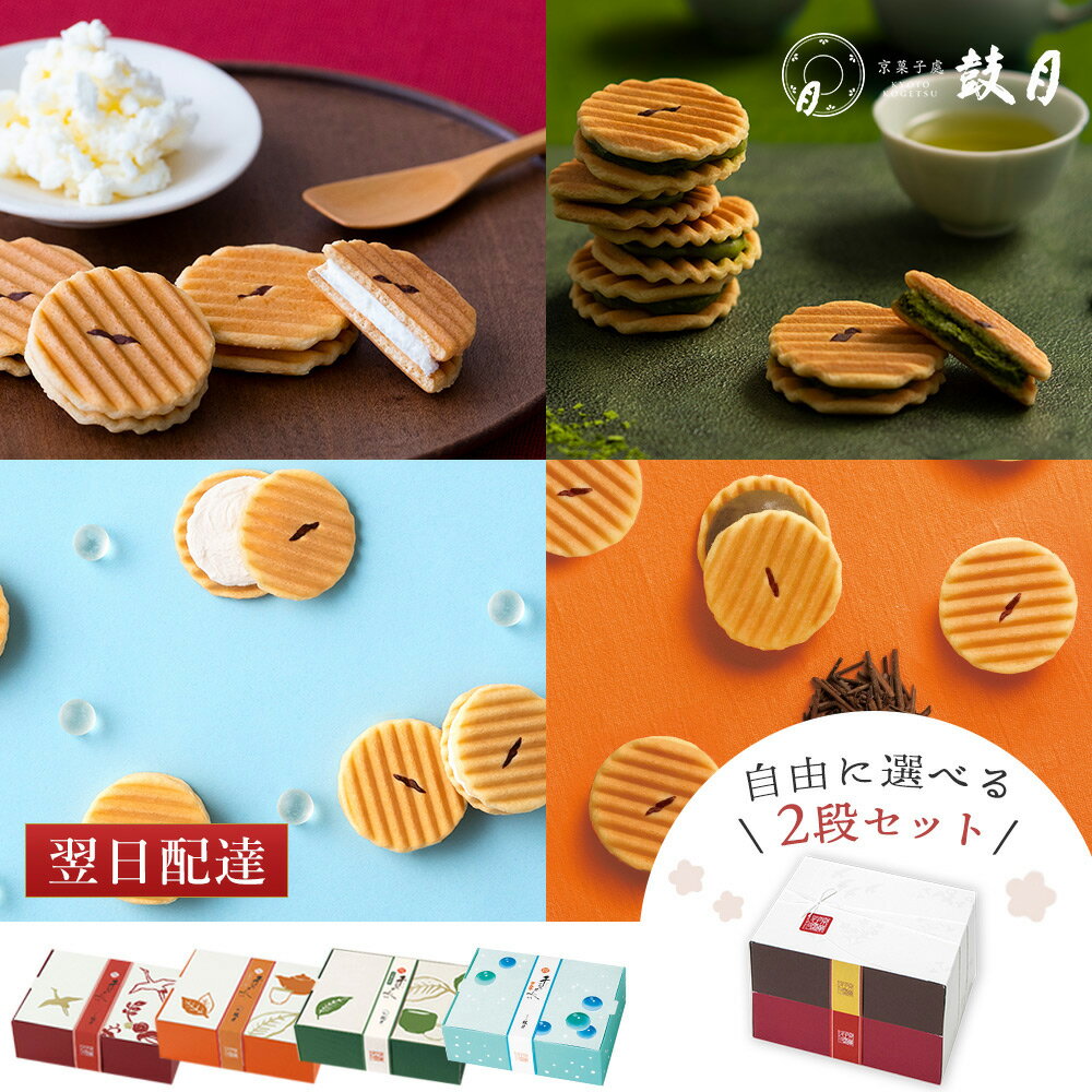 【6月末で終売】オーケー製菓 いかせんべい 1袋(1枚入り×15)いかせんべい 人気 通販 イカせんべい 青森 ok 販売店 ok製菓 いか煎餅 お菓子 お土産 ばらまき 個包装 ごませんべい さきいか 裂きイカ 弘前 ねぷた ねぶた 祭り【クール便商品と同梱不可】