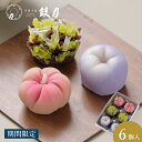 【エントリーポイント最大10倍】【公式】京都 鼓月 季節の上生菓子(6月) 6個入 / 京都 和菓子 職人 手作り 上生 京菓子 生菓子 有名 老舗 お取り寄せ...