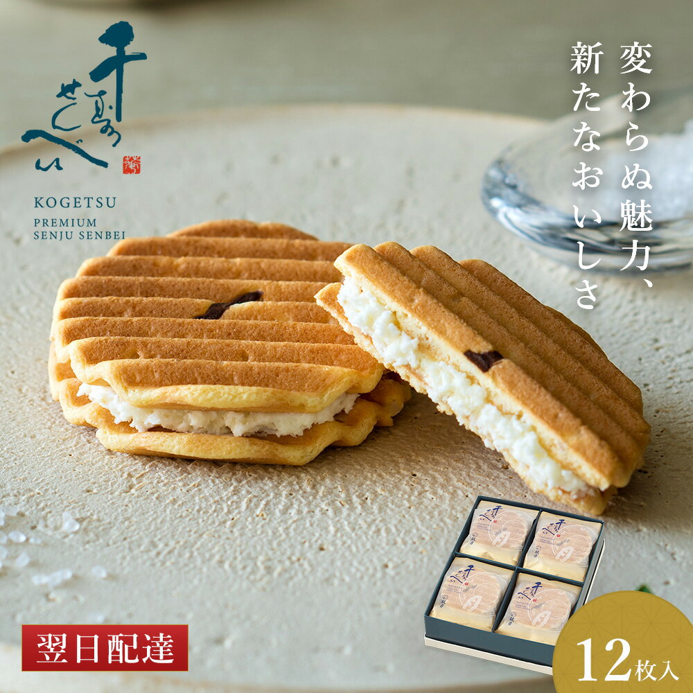 【6月末で終売】オーケー製菓 いかせんべい 1袋(1枚入り×15)いかせんべい 人気 通販 イカせんべい 青森 ok 販売店 ok製菓 いか煎餅 お菓子 お土産 ばらまき 個包装 ごませんべい さきいか 裂きイカ 弘前 ねぷた ねぶた 祭り【クール便商品と同梱不可】