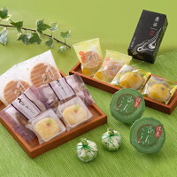 [WEB限定] 京都 鼓月 風薫る初夏の和菓子セット (送料込)｜ お取り寄せ 菓子 スイーツ 和菓子 京都 人気 自宅用 家庭用 お試し セット 送料無料 初夏スイーツ あんころ せんべい 生菓子