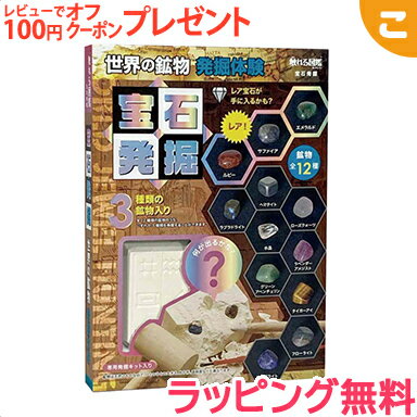 ＼全商品3〜6倍！／ラッピング無料 ライブエンタープライズ 触れる図鑑シリーズ 宝石発掘 図鑑 宝石 鉱物 夏休み 工作 実験 子供 ギフト プレゼント【こぐま】のサムネイル