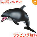 タカラトミー アニア AS-19 カマイルカ 水に浮くVer. おもちゃ こども 子供 アニマル 海洋生物 ギフト プレゼント