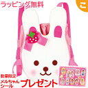 購入特典付き おんぶだっこひも パイロットインキ メルちゃん