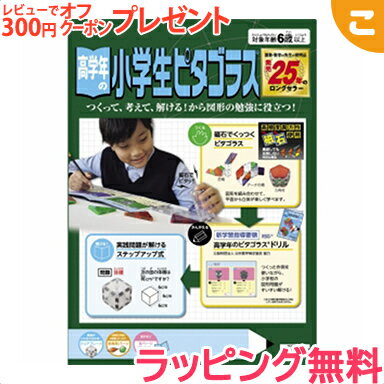 【ラッピング無料】 ピープル 高学年の小学生ピタゴラス おもちゃ 子供 こども 磁石 ブロック 知育玩具 指先 ギフト 出産お祝い プレゼント あす楽対応