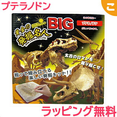 ＼全商品3～6倍！／ノブカンパニー 黄金の発掘名人BIG プテラノドン 恐竜 発掘 プレゼント ギフト メイキングトイ レアアイテム 特選お宝 あす楽対応