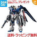 HG 1 144 『機動戦士ガンダムSEED FREEDOM』 ライジングフリーダムガンダム バンダイ スピリッツ フィギュア コレクション あす楽対応 送料無料