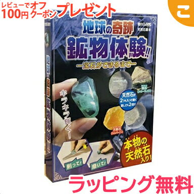 ＼全商品3～6倍！／【ラッピング無料】 ライブエンタープライズ 触れる図鑑シリーズ 天然石磨き ZH-ZUK-1701 図鑑 岩…