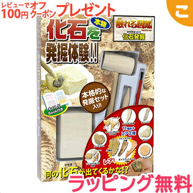 楽天こぐま【ラッピング無料】 触れる図鑑 vol.4 化石発掘 ライブエンタープライズ 図鑑 夏休み 実験 体験 かせき はっくつ 子供 ギフト プレゼント あす楽対応