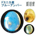【クーポン利用で最大30%OFF】ドミニカ産 ブルーアンバー 原石 一粒 ルース 標本ケース付き 御守り お守り 青色琥珀 青琥珀 緑色 グリーン 未処理 一点物 天然石 パワーストーン 金運 財運 癒し ヒーリング コレクション 石言葉で 静かに燃える心 琥珀屋 No 3389