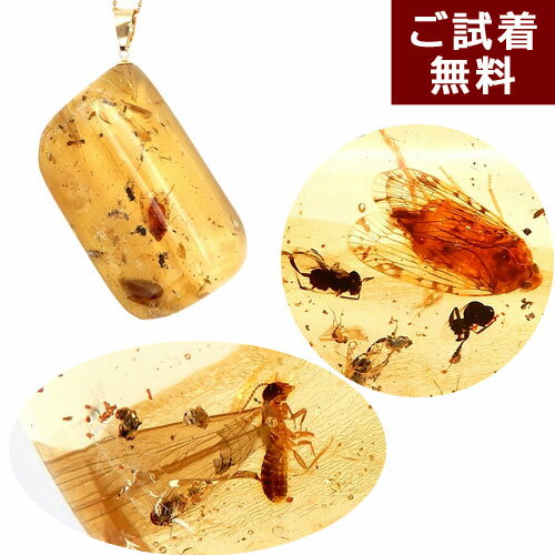 ＼3月3日まで臨時休業中／化石 虫入り琥珀 ネックレス ペンダントトップ ウンカ 白蟻 蟻 蠅 等縦4.5cm ..
