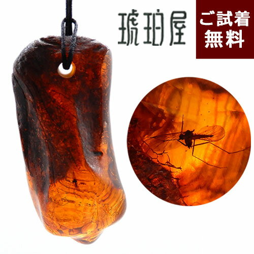 楽天市場】琥珀 蜘蛛の通販