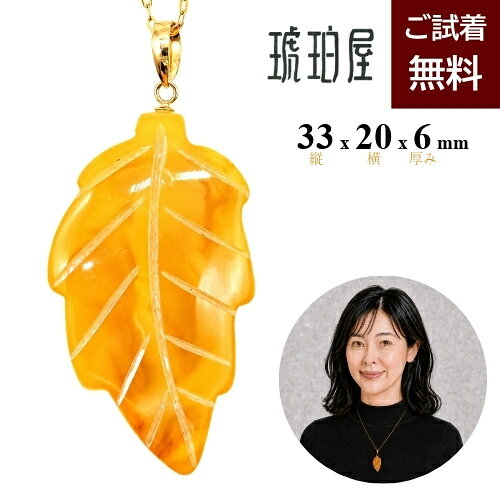 楽天市場】葉入り 琥珀の通販