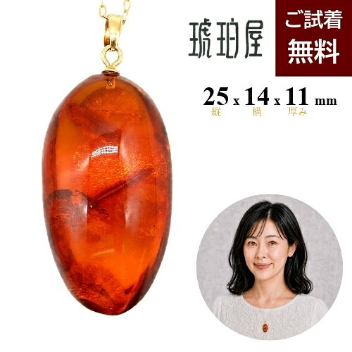 楽天市場】コニャックアンバーの通販