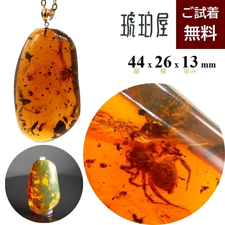 値下げ！！   虫(蜂)入り琥珀 （黒檀製台座付き） 楽天市場】化石 虫入り琥珀（ジュエリー・アクセサリー）の通販
