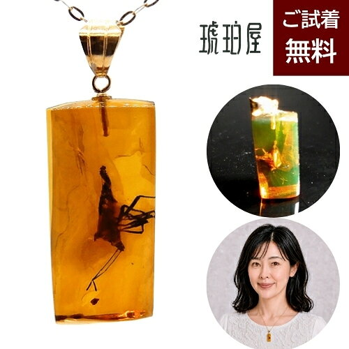 楽天市場】化石 虫入り琥珀（ジュエリー・アクセサリー）の通販