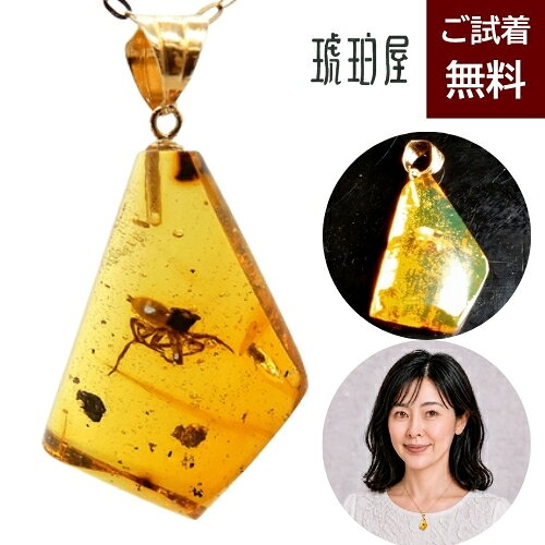 楽天市場】琥珀 蜘蛛の通販