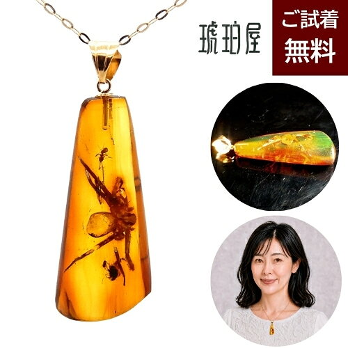 楽天市場】化石 虫入り琥珀（ジュエリー・アクセサリー）の通販