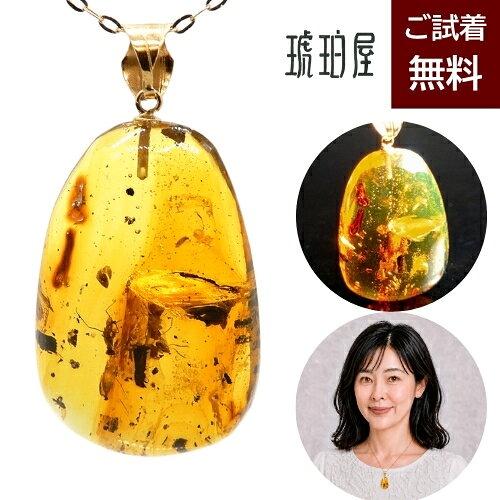 楽天市場】化石 虫入り琥珀（ジュエリー・アクセサリー）の通販
