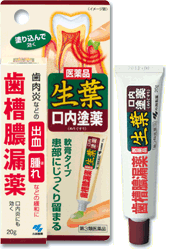 【商品特徴】 ● 生葉口内塗薬は歯茎の腫れ・うみ・痛み・むずがゆさ、口臭など歯肉炎・歯槽膿漏における諸症状、口内炎に優れた効きめがあります。 ● 生葉口内塗薬は高粘着性軟膏タイプなので、4つの有効成分が歯周ポケット内に長く留まって効果的に作用し、優れた効きめを発揮します。 ● 歯茎全体にマッサージしながら塗り込むと効果的です。 ● 歯茎にスーッとしみ込むような爽やかな使用感です。 【内容成分】（100g中） ヒノキチオール・・・0.1g、セチルピリジニウム塩化物水和物・・・0.05g、グリチルリチン酸ニカリウム・・・0.4g、アラントイン ・・・0.3g 添加物として、エデト酸カルシウム二ナトリウム、ポリソルベート80、ヒプロメロース、CMC-Na、ハッカ油、キシリトール、プロピレングリコール、l-メントール、緑色3号、黄色4号（タートラジン）、香料を含有する。 【効能効果】 歯肉炎・歯槽膿漏における諸症状（歯茎の出血・発赤・腫れ・うみ・痛み・むずがゆさ、口のねばり、口臭）の緩和、口内炎 【用法容量】 ・歯肉炎・歯槽膿漏 1日2回(朝・晩)ブラッシング後、適量(約0.3g)を指にのせ、歯茎に塗りこむ。 ・口内炎 1日2〜4回、適量を患部に塗布する。 分類：第3類医薬品 製造：日本 販売元：小林製薬株式会社 広告文責：有限会社シンエイ 電話：077-545-0252