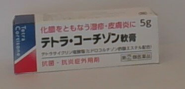 【第(2)類医薬品】【定形外郵便で送料無料！】テトラ・コーチゾン軟膏 5g