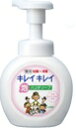 キレイキレイ薬用泡ハンドソープ ポンプ 250mL