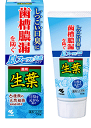 【医薬部外品】生葉(しょうよう)息スーッと実感タイプ 100g