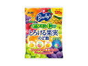 バヤリースとろける果実のど飴 120g