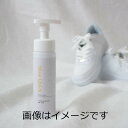 丹羽久 水のいらないシューズドライシャンプー Shoe Quick(シュークイック) 200ml