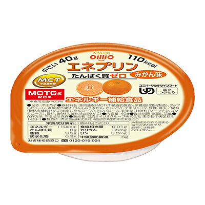 日清オイリオ エネプリン みかん味 40g