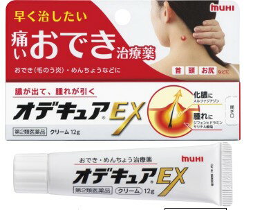 【第2類医薬品】オデキュアEX 12g