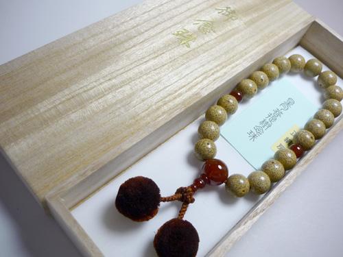 �����ѤΤ����� ��������� 20�� �����Ω�� ��ŷ˼