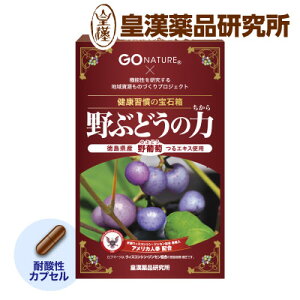 野ぶどうの力 60粒 送料無料 徳島大学 共同開発 国産 徳島県産 野葡萄つる アメリカ人参 国産 のぶどう ノブドウ 野ブドウ 野葡萄 アメリカ人参 健康 健康食品 サプリ サプリメント 皇漢薬品研究所