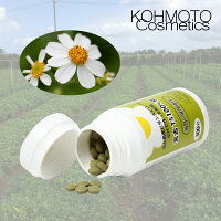 花粉花粉症対策花粉症対策便秘解消便秘宿便整腸サプリサプリメントグッズクシャミ鼻水鼻づまりアレルギーアトピー咳かゆみ目のかゆみ乾燥肌口内炎生活習慣病