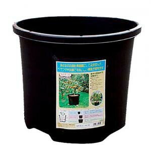 日栄プラ販 NPポット　黒　＃60