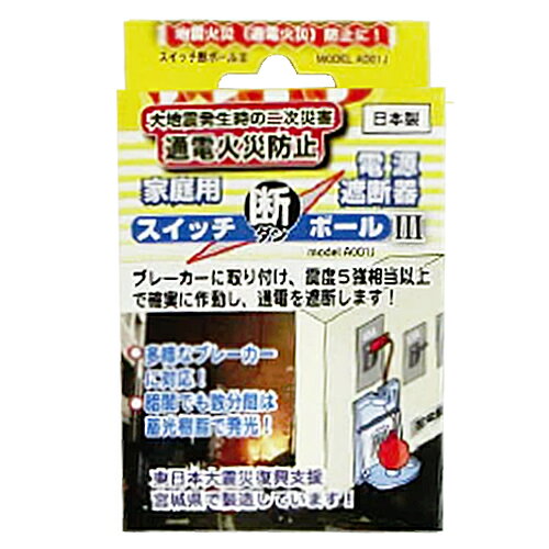 エヌ・アイ・ピー　スイッチ断ボール　　A001J