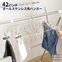 コーナン オリジナル オールステンレス角ハンガー42ピンチ KL21−9499