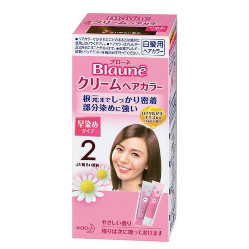 花王 ブローネクリームヘアカラー2　より明るい栗色　80g