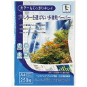 【5/1(水)～早い者勝ち 最大400円クーポン配布】コーナン オリジナル インクジェット用紙　APLG－250