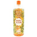 ≪あす楽対応≫コーナン オリジナル 緑スクスク活力液　観葉植物用　1000ml