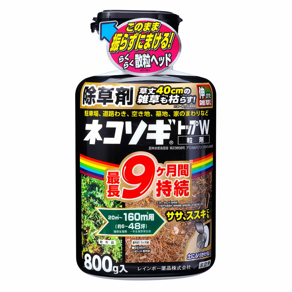 ≪あす楽対応≫レインボー薬品　ネコソギトップW　800g