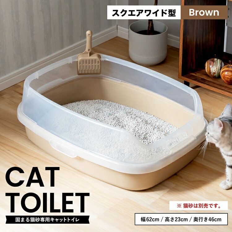 ≪あす楽対応≫キャットトイレ スクエアワイドBR 猫 トイレ 本体 ネコトイレ 猫用トイレ キャットトイレ しつけ 猫砂 コーナン