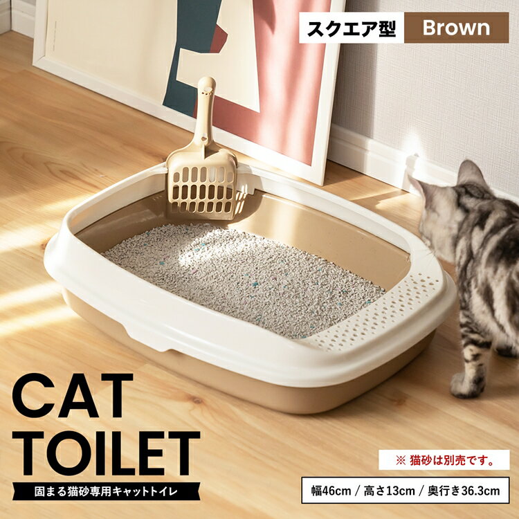 ≪あす楽対応≫キャットトイレ スクエアBR 猫 トイレ 本体 ネコトイレ 猫用トイレ キャットトイレ しつけ 猫砂 コーナン