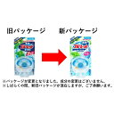 小林製薬 液体ブルーレットおくだけ ミントの香り 本体 70ml