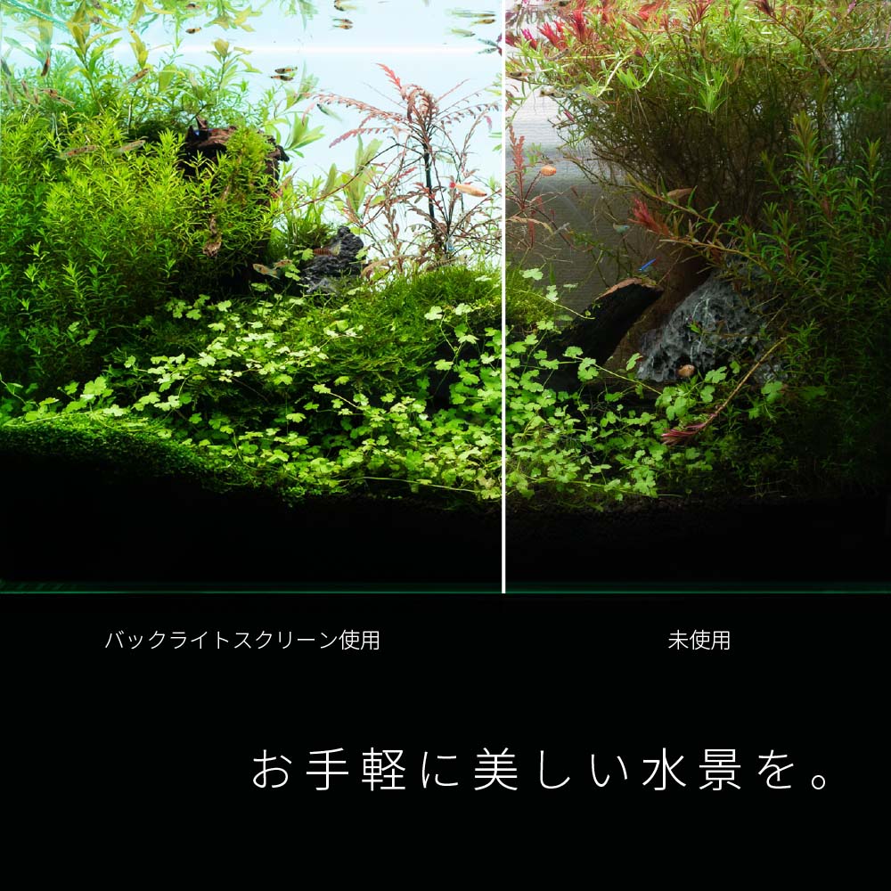 ≪あす楽対応≫esAqua 幅60cm水槽用 調光式 LEDバックスクリーンライト W600XH360XD7mm ガラス厚6mm対応