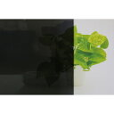 貼ってはがせる省エネ窓フィルム スモークタイプ 92×180cm