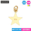 【店内全品PT5倍!マラソン最大2,000円CP配布中!】エンドパーツ スター 星 プレート チャーム シンプル アクセサリーパーツ 18K K18 K18WG...