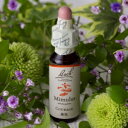 バッチフラワー ミムラス 10ml 勇気 飲むアロマ 癒し...