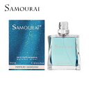 アランドロン ALAIN DERON SAMOURAI サムライ オードトワレ EDT SP 100ml 香水 メンズ あす楽