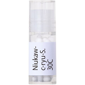 ホメオパシージャパン Niukaw-c-ryu-S. 丹生川上神社中社 竜神の滝 祈り 30C 大ビン