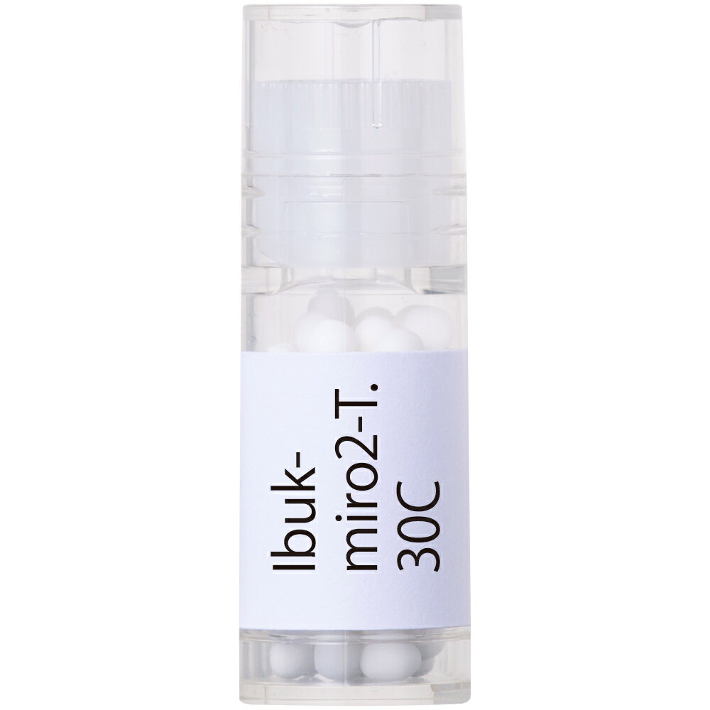 ホメオパシージャパン Ibuk-miro2-T. 伊吹山の北弥勒菩薩　祈り 30C 大ビン